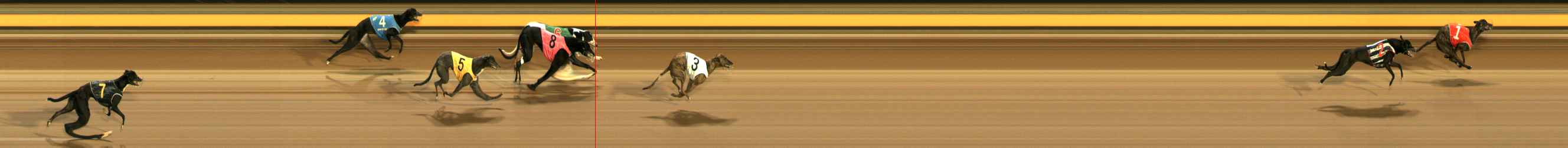 Race result finish photo